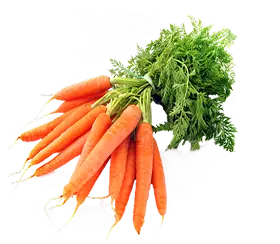Photo of carrot