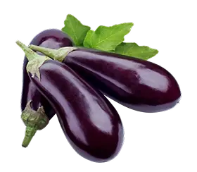 Photo of eggplant