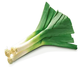 Photo of onion